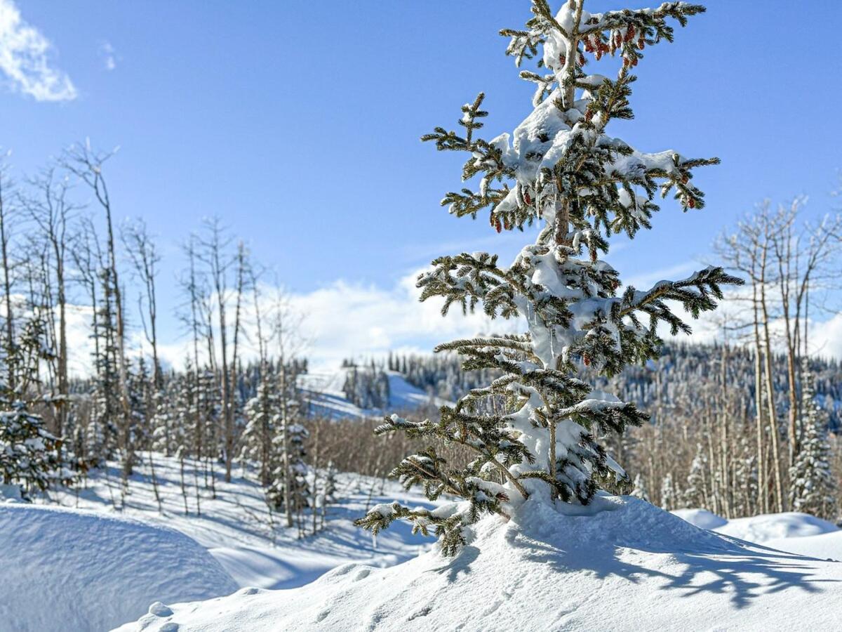 Eagle Roost Retreat By Ski Lifts ไบรอัน เฮด ภายนอก รูปภาพ